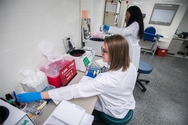 Students in a research setting